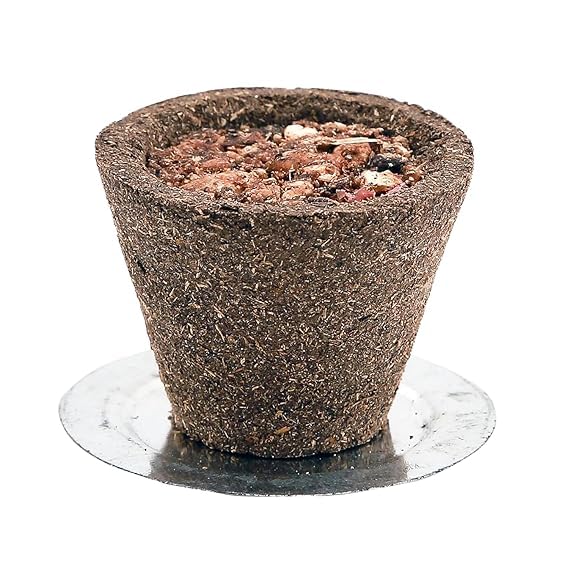 Sambrani Hawan Cups - Pack of 48