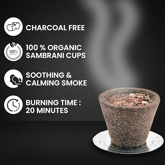 Sambrani Hawan Cups - Pack of 48