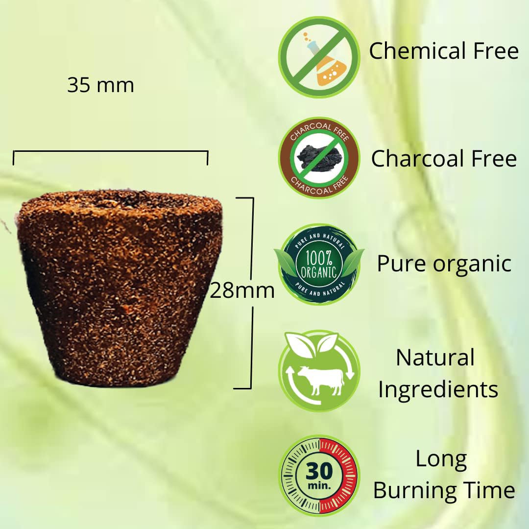 Sambrani Hawan Cups - Pack of 48