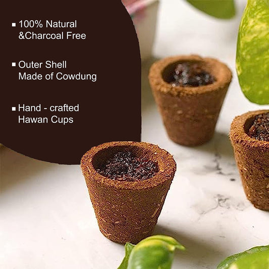 Sambrani Hawan Cups - Pack of 20
