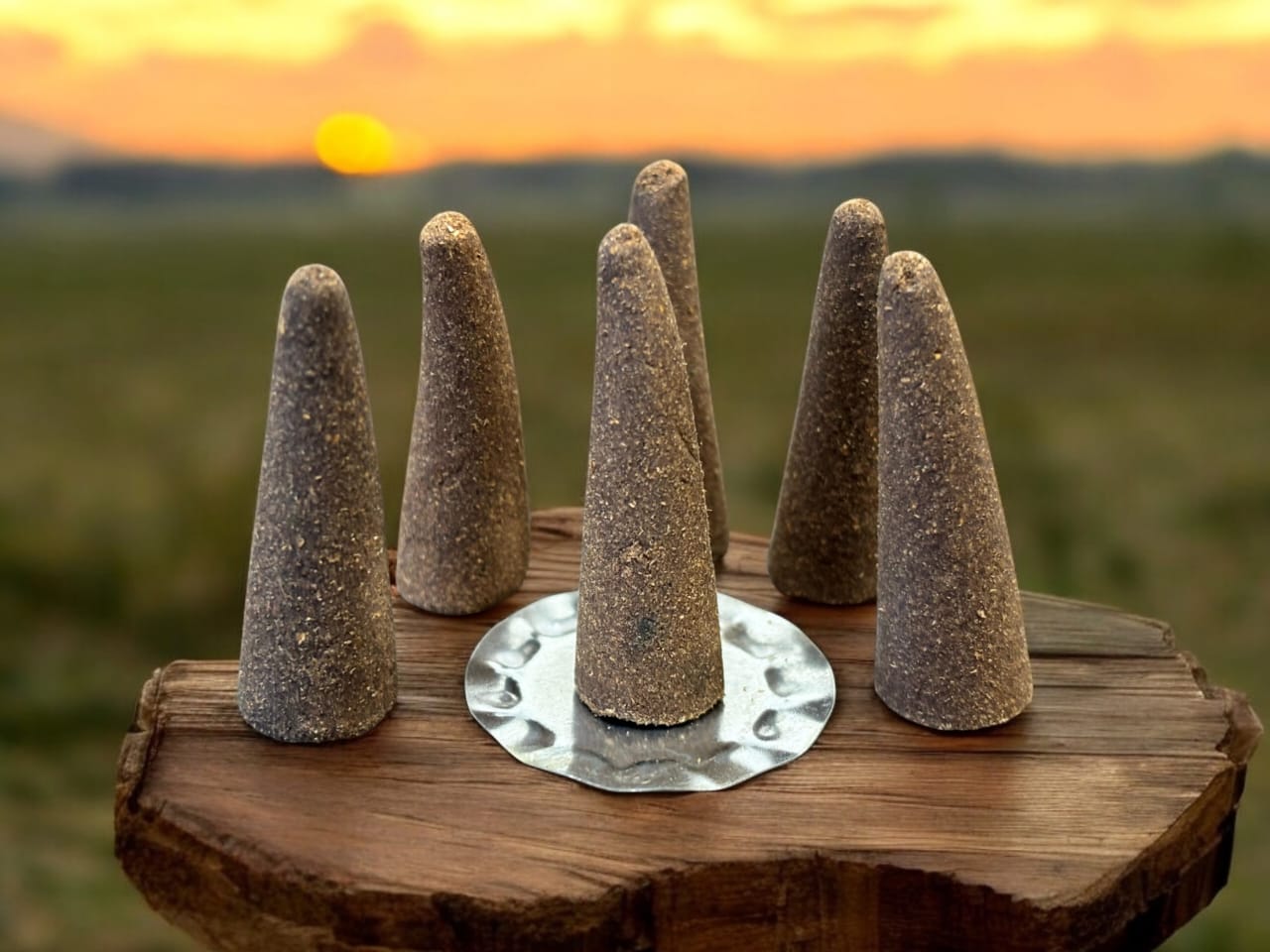 Dhoop Cones - Pack of 50